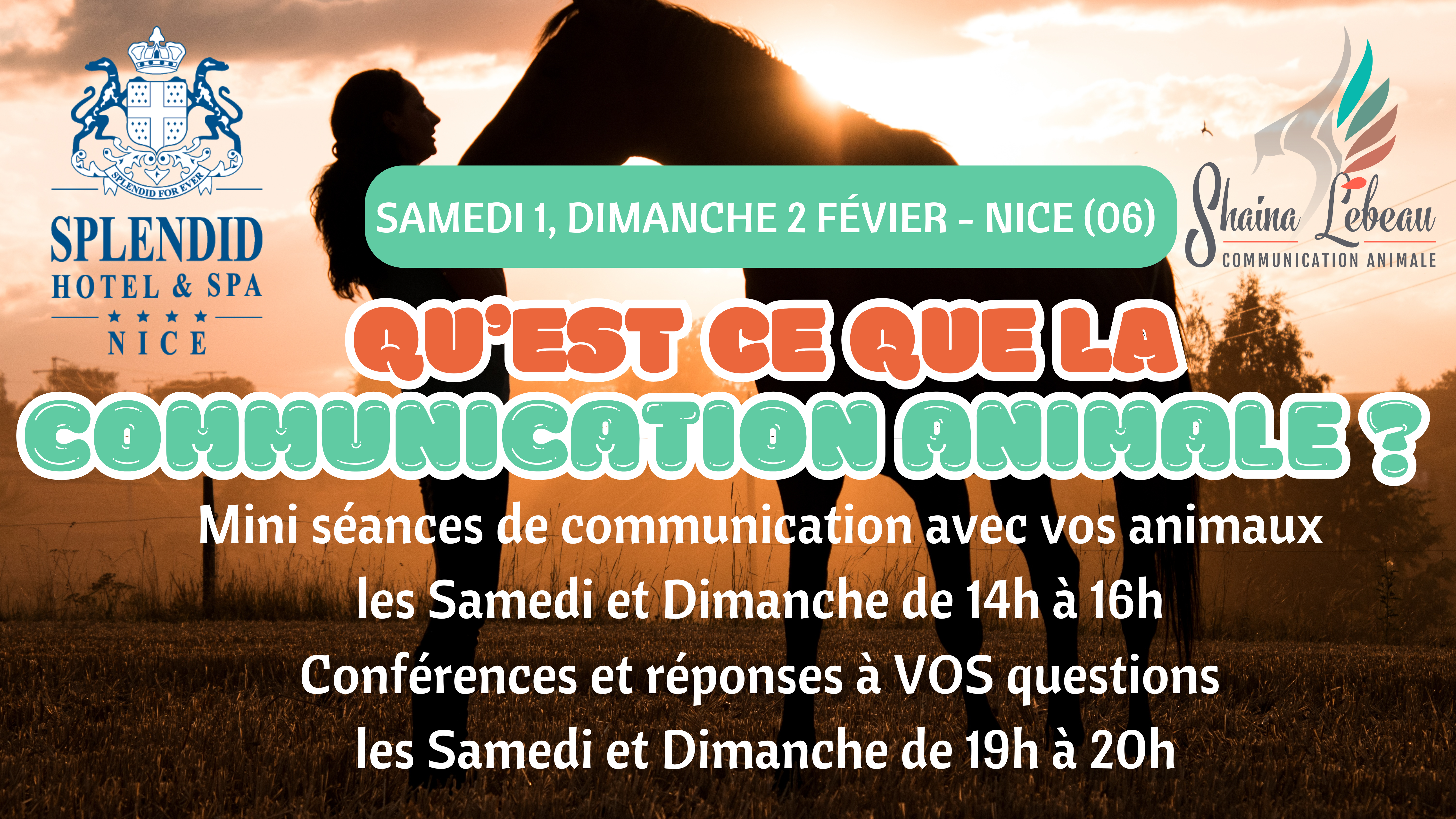 Conference communication animale, evenement bien etre, splendid hotel et spa nice