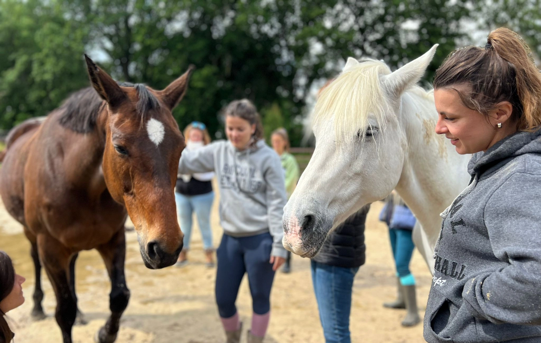 Et si vous deveniez communicateur animale professionnel(le) ? 