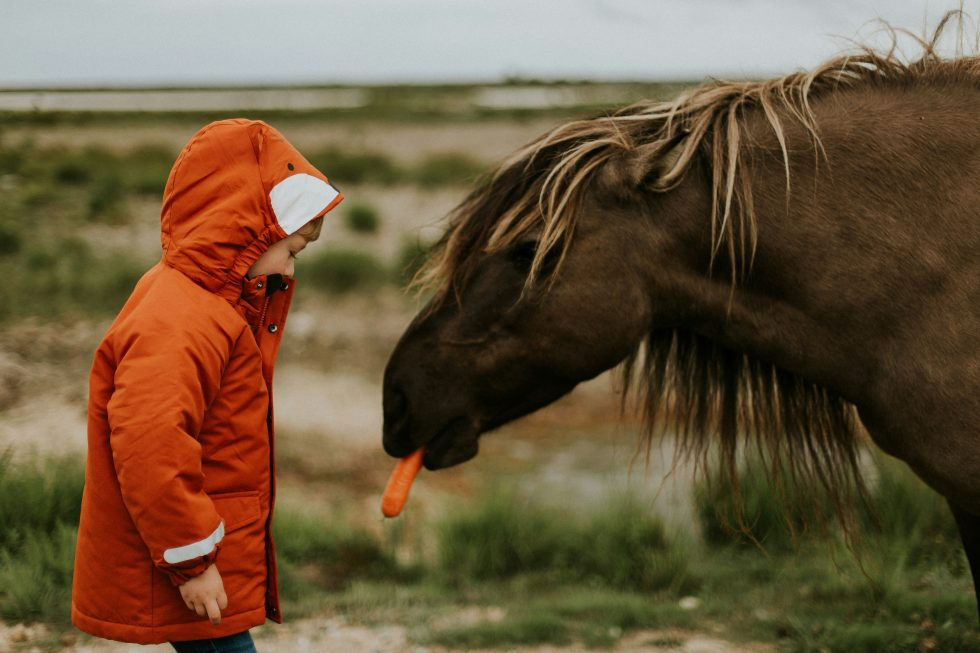 Reconnectez-vous à votre Âme d’Enfant avec l’École « La Goutte d’Eau du Colibri »