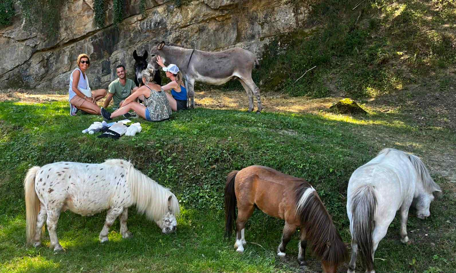 Formation pour « Apprendre à Communiquer par Télépathie avec les Animaux » : bien plus qu’une simple initiation 
