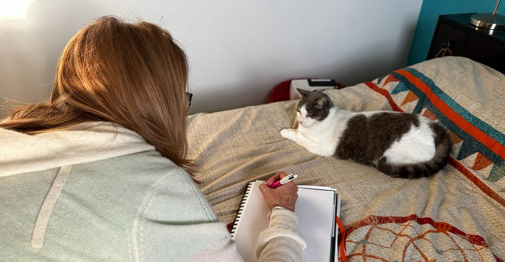 Extrait d’une séance de Communication Animale avec Xéna, une chatte âgée de 3 ans