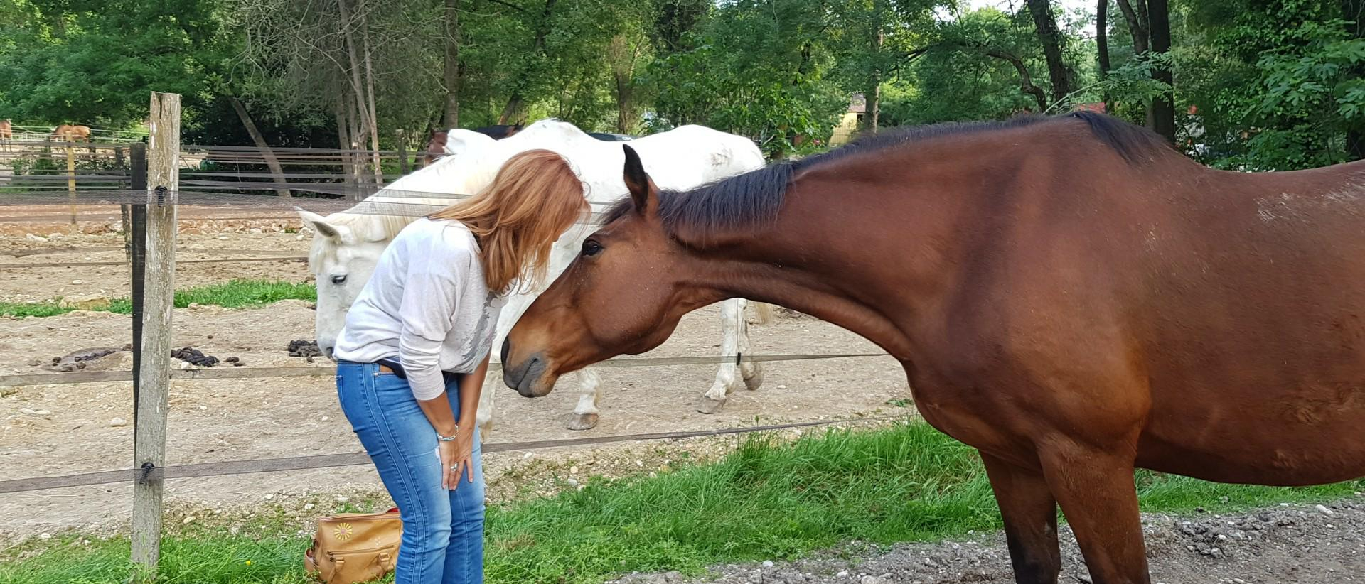 La Communication Animale pour accompagner les animaux en fin de vie