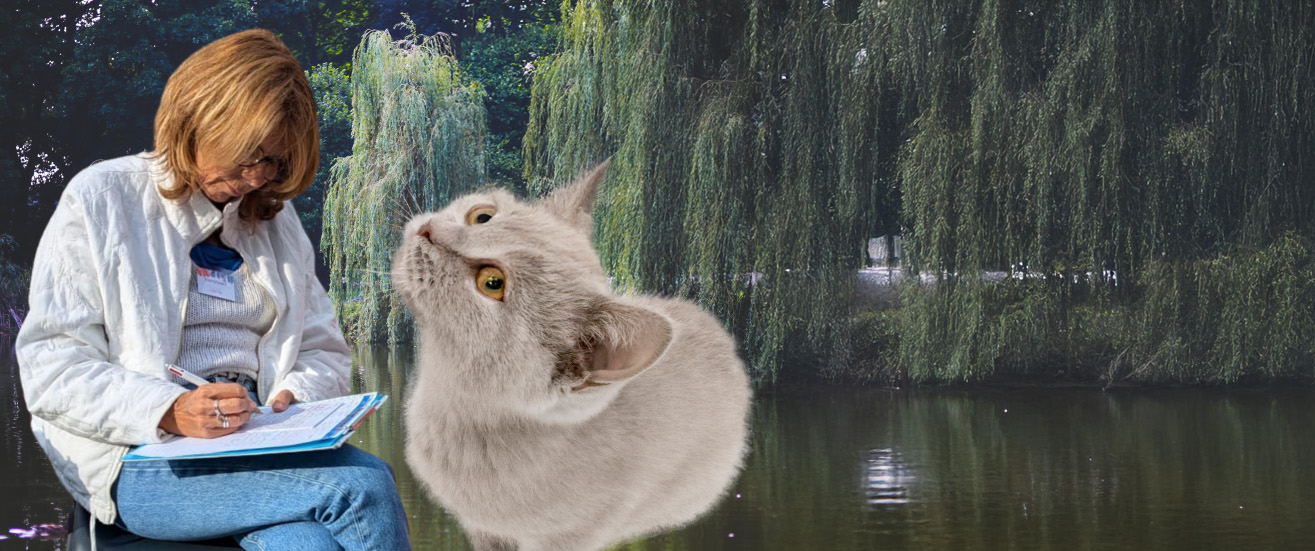 Extrait d’une séance de communication animale avec Swift, un adorable chat âgé de 7 ans