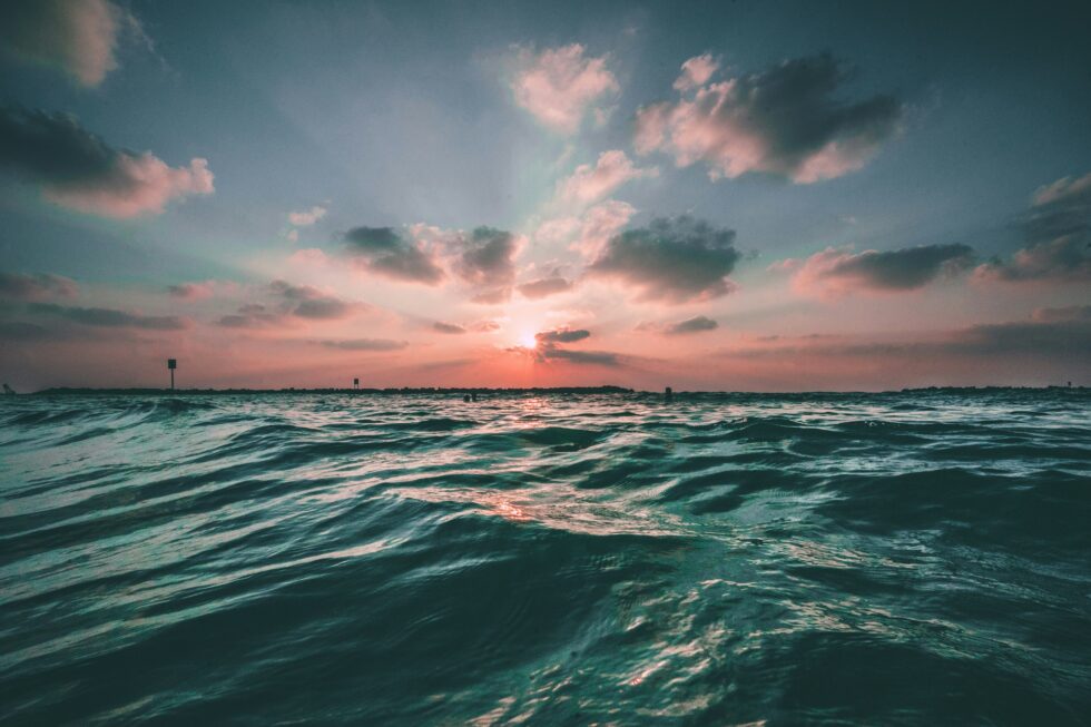 joseph-barrientos-oQl0eVYd_n8-unsplash-980x653.jpeg