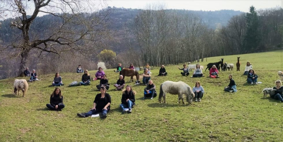 À l’école des animaux… on apprend à écouter les animaux en profondeur…