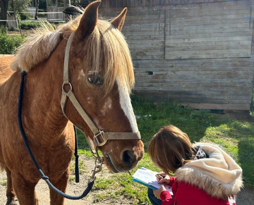 Été 2026 : comment prendre soin des animaux pendant les fortes chaleurs et les vacances ? 