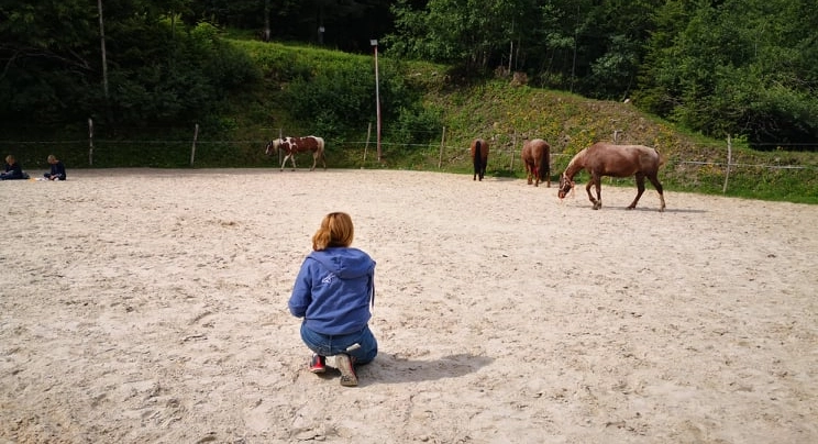 Shaïna Lebeau - Communication animale