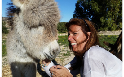 Communiquer par télépathie avec nos animaux pourquoi ?