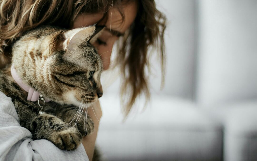 lien-humain-animal-histoire-prehistoire-connexion-protection-animale-bien-etre-animal