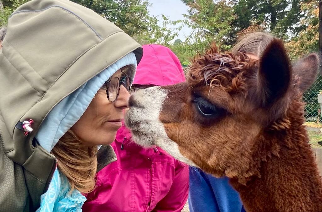 communication-animale-comment-ca-fonctionne-echange-naturel-telepathie-intuition-sens-echange-profond-humain-animal-bien-etre-animaux