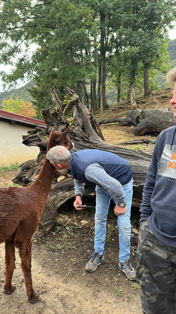 Stage Initiation Communication Animale Formation Communiquer Avec Les Animaux Apprendre 