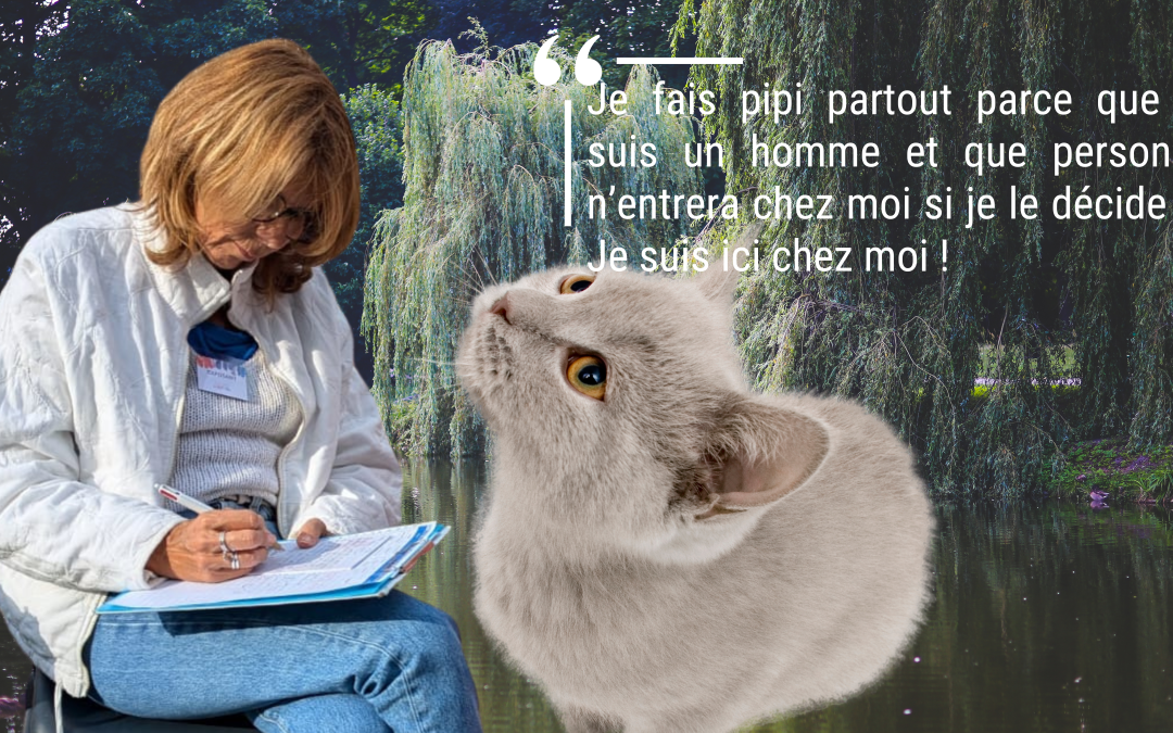 seance communication animale chat communiquer avec les animaux comprendre comportement chat fait pipi dans la maison