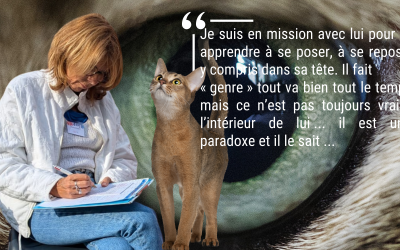 Extrait d’une séance de Communication Animale avec Xéna, une chatte âgée de 3 ans