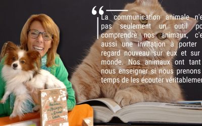 Les animaux, ces messagers au grand cœur : le secret ? Les écouter !