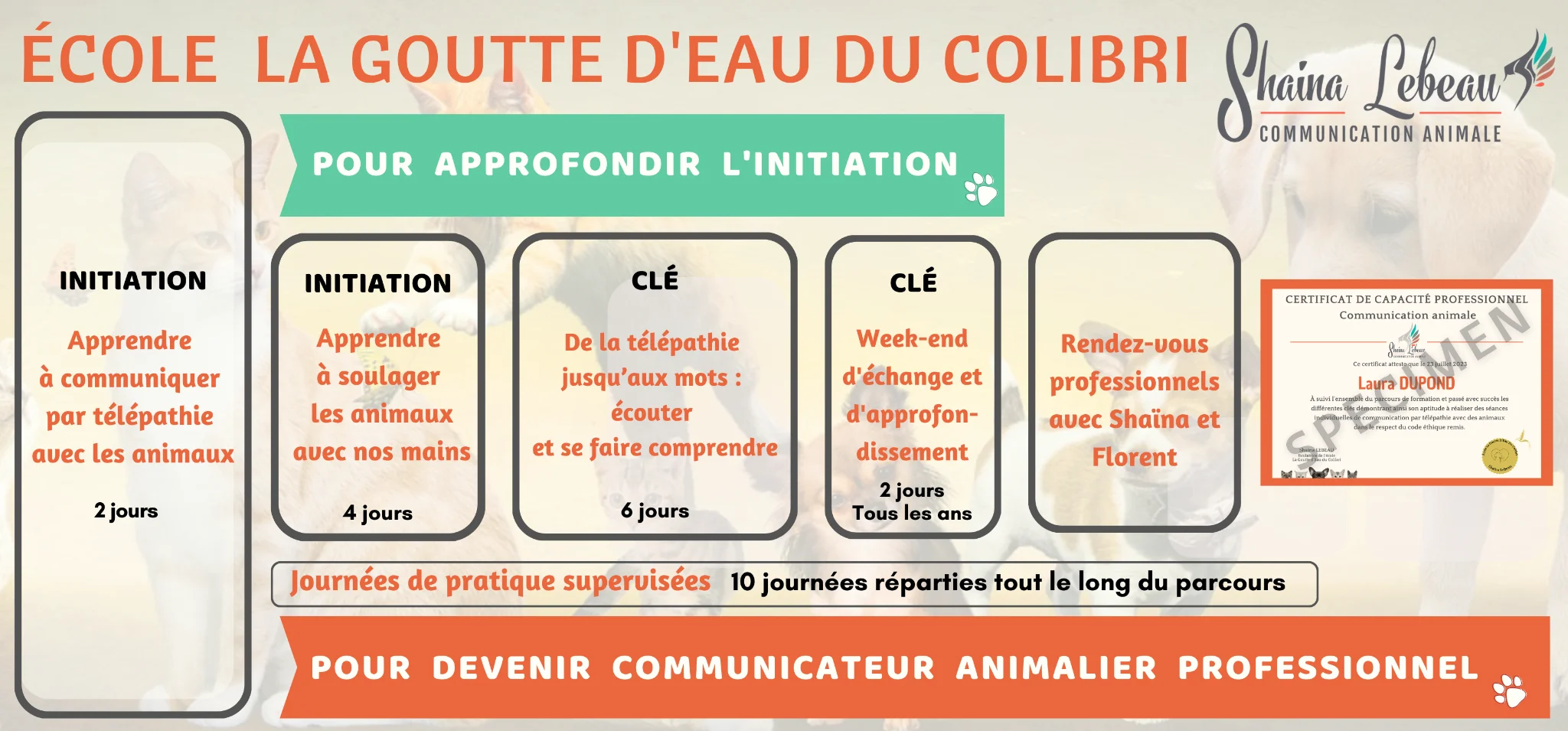 parcours professionnel devenir professionnel de la communication animale travailler avec les animaux
