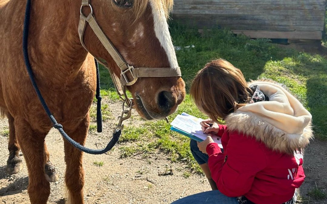 Communication Animale, Apprendre a Communiquer avec les Animaux, Formation Communication Animale, Retrouver un Animal, Comprendre son Animal, Dialoguer avec les Animaux, Formation a Distance Communication Animale