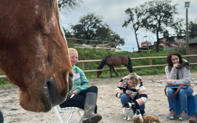 🐾 Et si vous deveniez communicateur animale professionnel(le) ? 