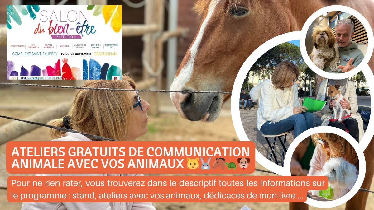 Septembre25 salon Draguignan Communication Animale, Apprendre a Communiquer avec les Animaux, Formation Communication Animale, Retrouver un Animal, Comprendre son Animal, Dialoguer avec les Animaux, Formation Communication Animale