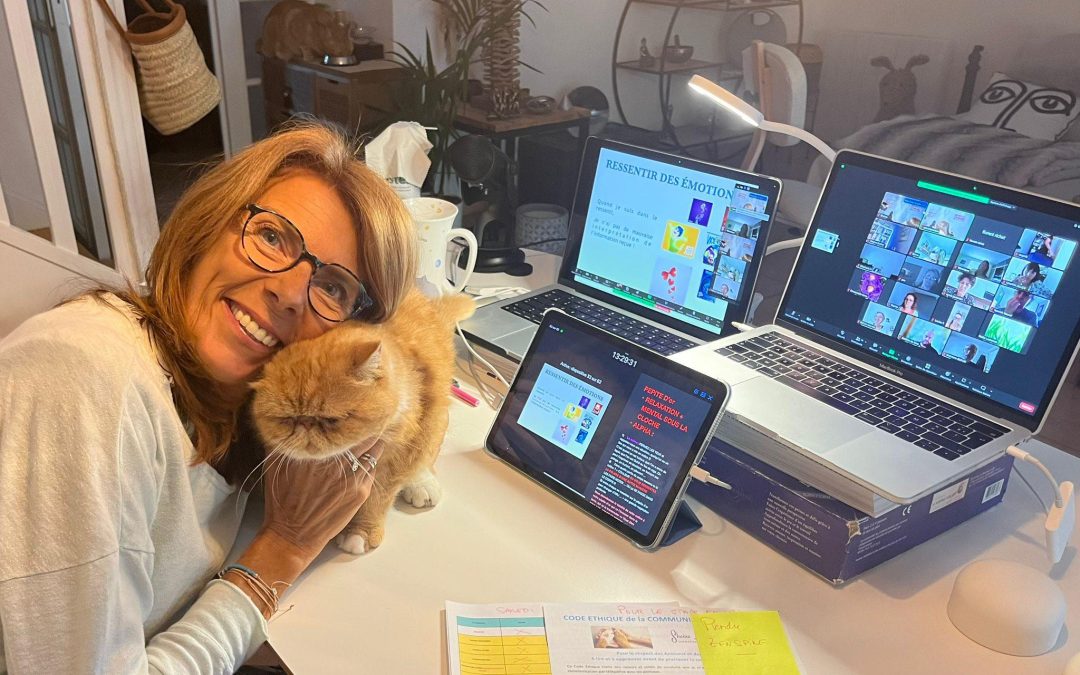 Séance de communication animale empreinte de douceur, une communicatrice écoute attentivement un chat apaisé, dans une atmosphère de bienveillance et de connexion profonde