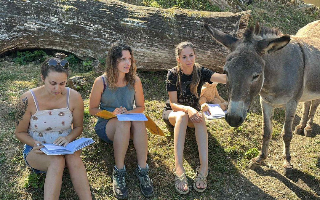 Communication Animale, Ecouter Les Animaux, Apprendre la télépathie, Apprendre a communiquer avec les animaux, Formation Communication Animale, Stage Communication Animale, Entendre les animaux, Bien etre animal, Lien Humain Animal