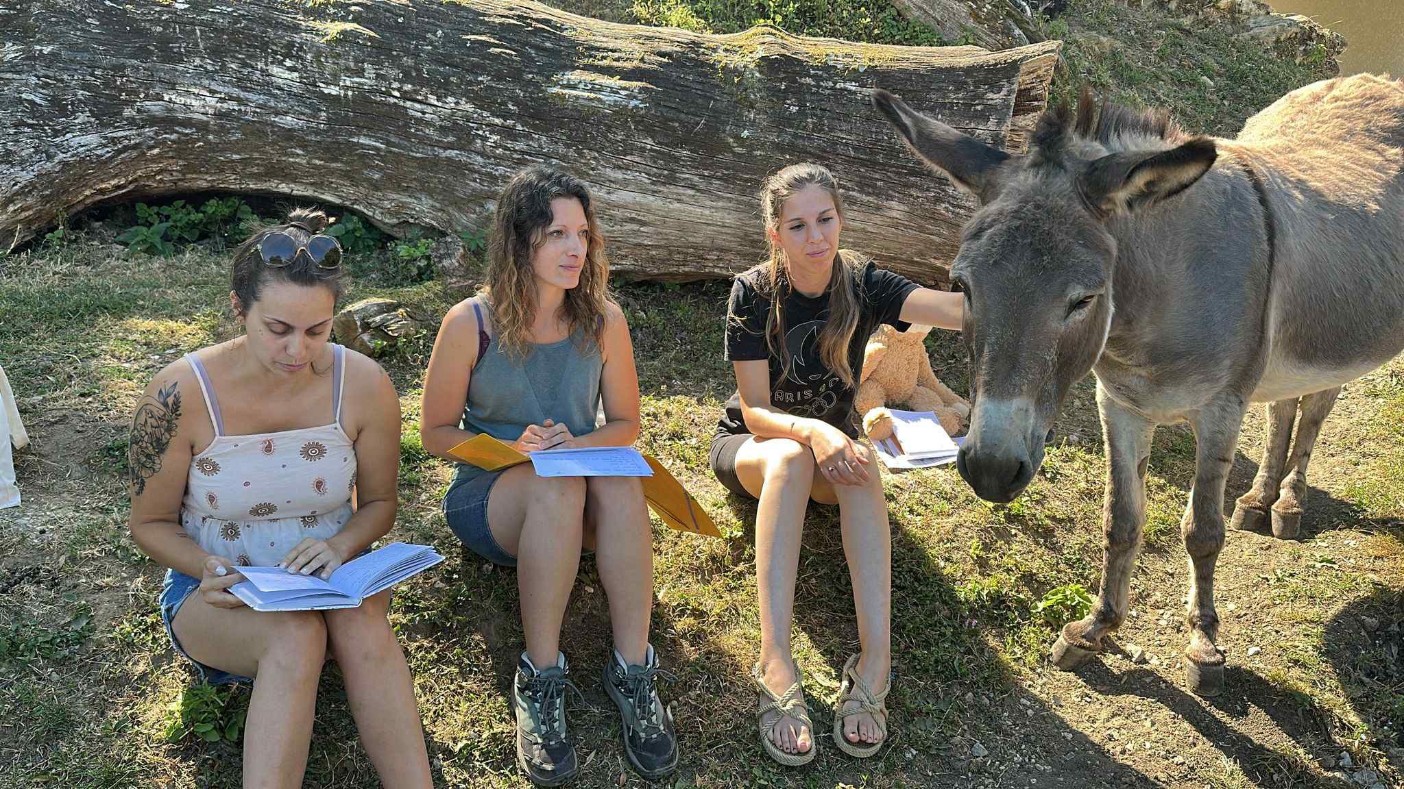 Communication animale et éthique : pourquoi le respect est la base de tout échange ?