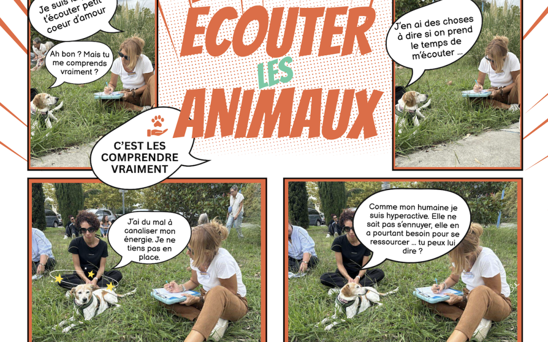 Une famille et leur chien, unis par une complicité renforcée après une séance de communication animale. Grâce à l’écoute bienveillante de Shaïna Lebeau, ils ont découvert les besoins et les messages de leur compagnon, pour une vie ensemble plus harmonieuse