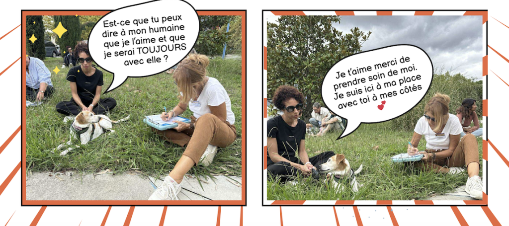 Avant/après une séance de communication animale : à gauche, un chien anxieux et collé à son humaine par peur ; à droite, le même chien, détendu et indépendant, après avoir été écouté et compris. La preuve que les animaux ont juste besoin qu’on leur donne la parole.Avant/après une séance de communication animale : à gauche, un chien anxieux et collé à son humaine par peur ; à droite, le même chien, détendu et indépendant, après avoir été écouté et compris. La preuve que les animaux ont juste besoin qu’on leur donne la parole.