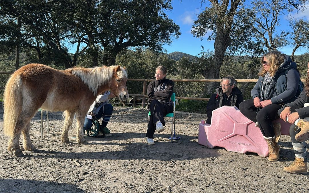 Formation communication animale reconnue, Devenir communicateur animalier professionnel, École de communication animale enregistrée, Stage télépathie animale certifiant, Apprendre à parler aux animaux, Formation magnétisme animalier, Shaïna Lebeau organisme de formation, Financement formation communication animale, Reconversion métier animalier, Écoute télépathique animaux, Organisme de formation communication animale reconnu