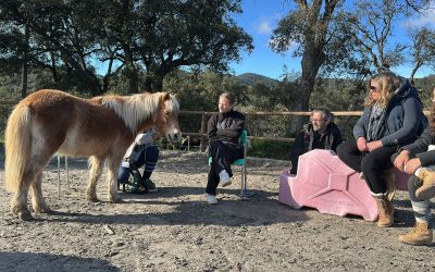 La Goutte d’Eau du Colibri devient un organisme de formation enregistré ! 