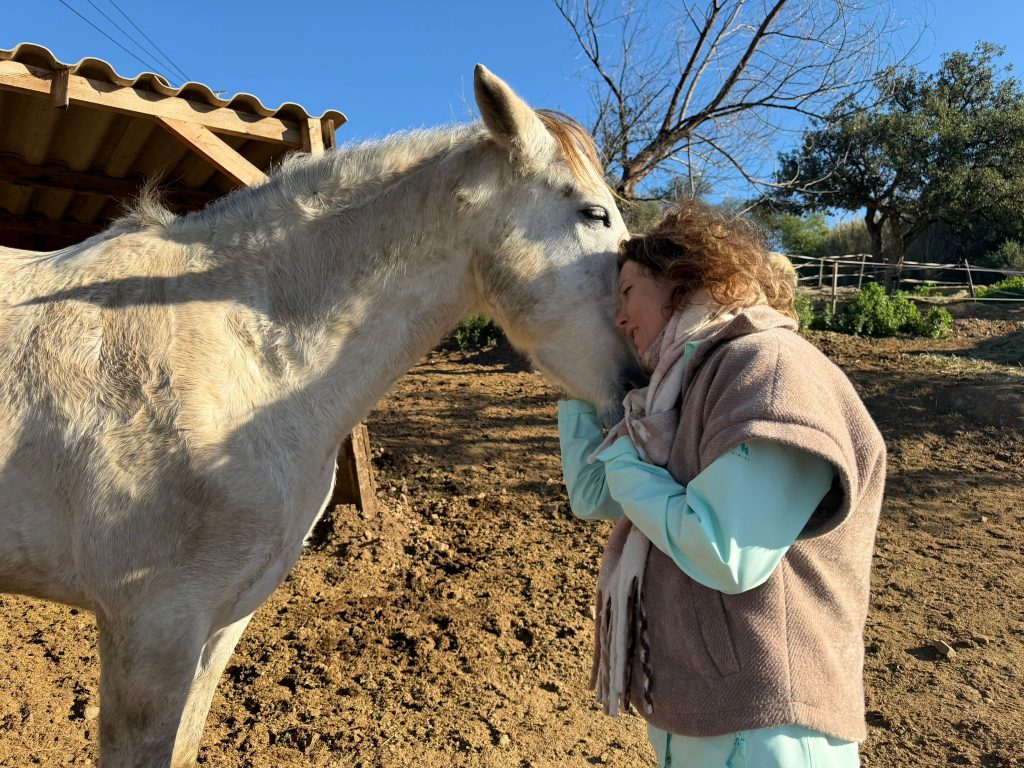 Cheval ou chien observant un humain, illustrant le lien d’amour et d’écoute entre humains et animaux