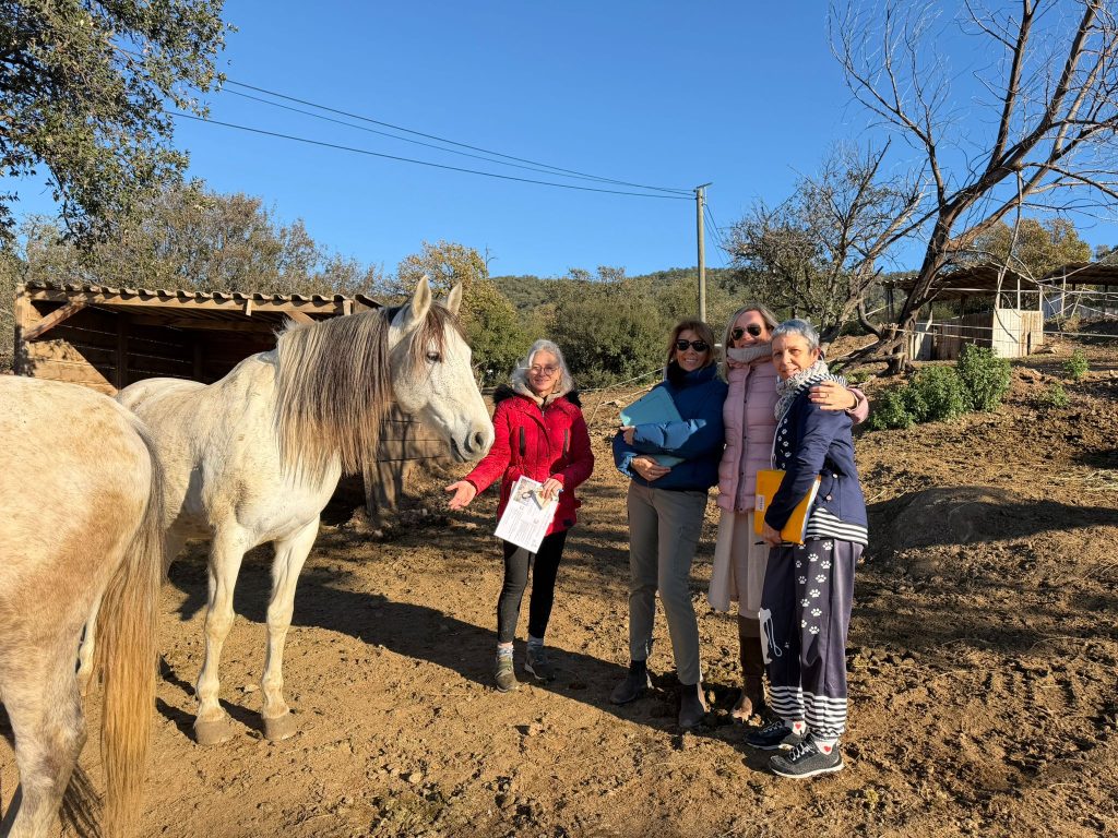 Interaction tendre entre un cheval et une personne, pour illustrer la communication télépathique et émotionnelle