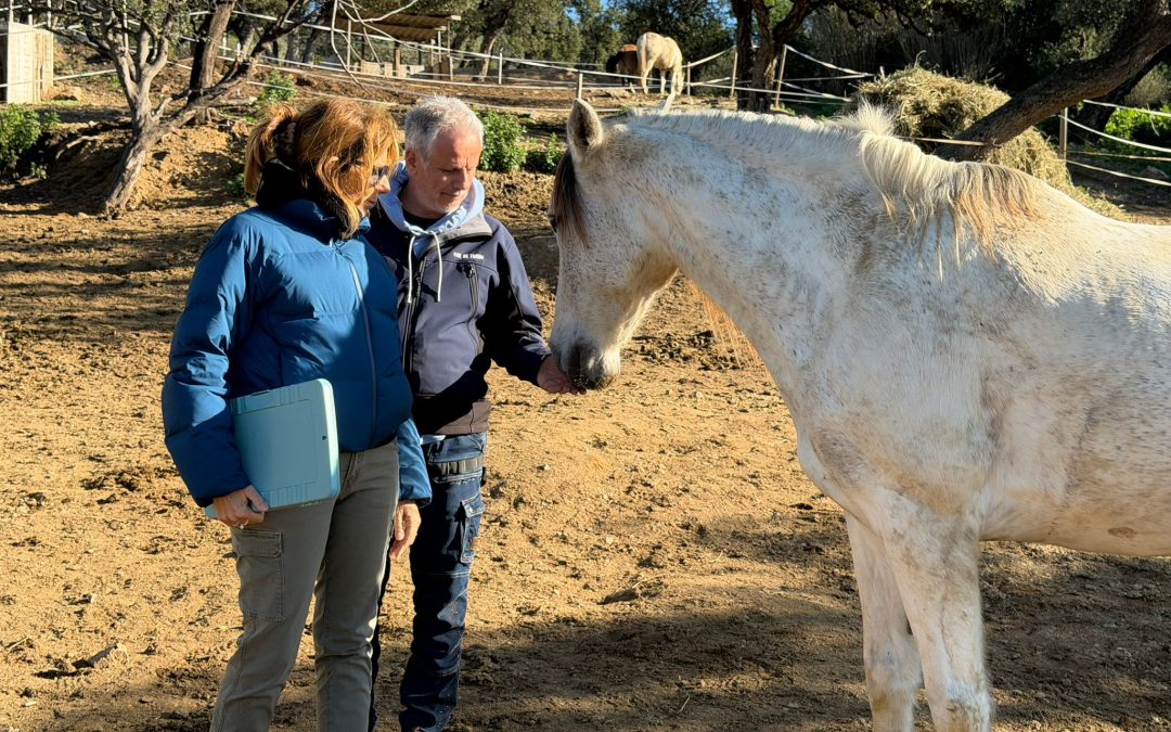 Humain et animal partageant un moment calme, incarnant un lien sincère et authentique