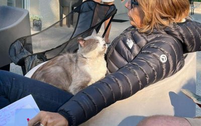 Extrait d’une Communication Animale avec Dan