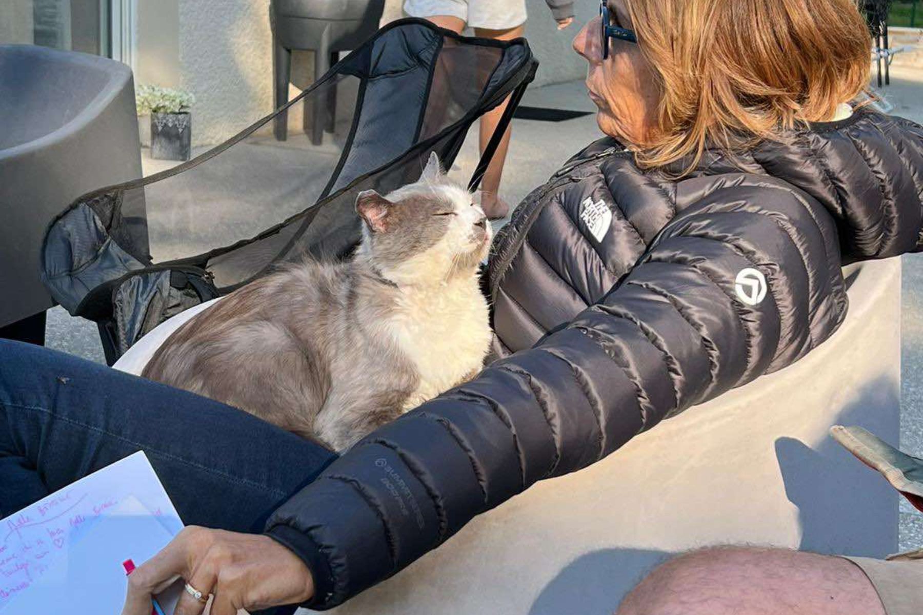 Extrait d’une Communication Animale avec Dan