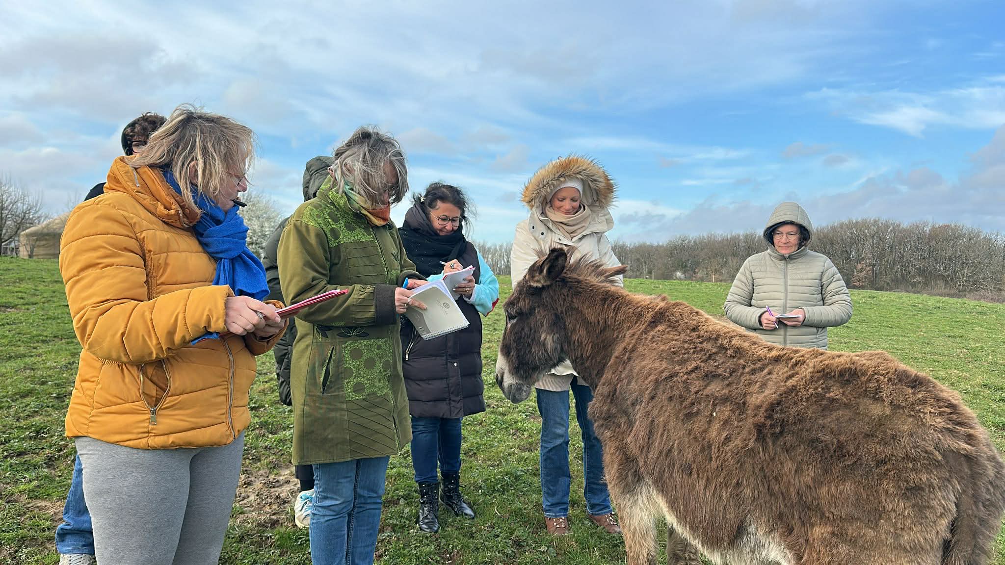 Les intérêts de la communication animale 