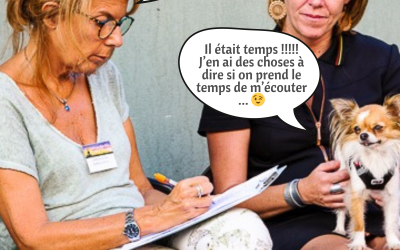 FAQ : Réponses aux questions des humains les plus fréquentes sur la communication animale  