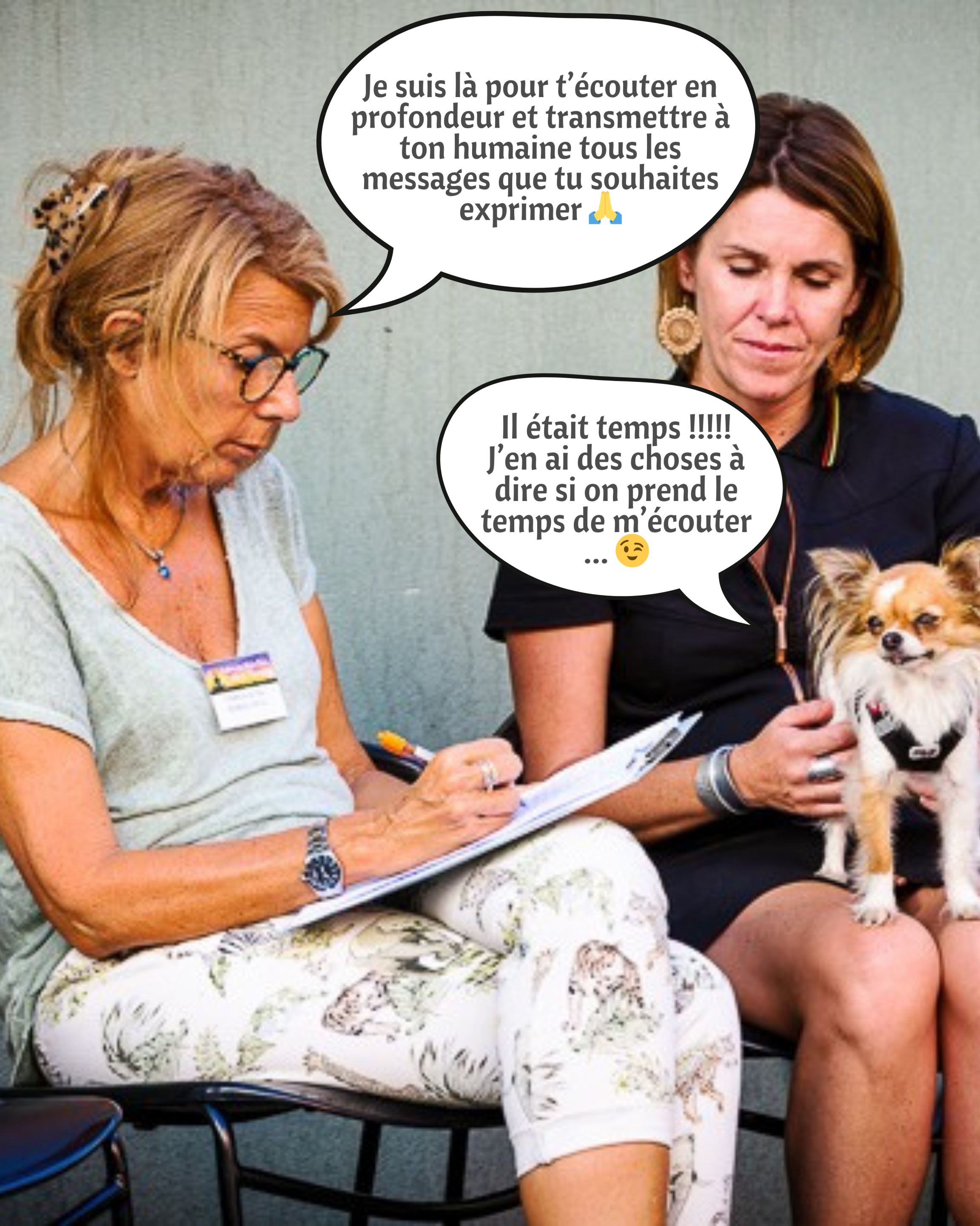 FAQ : Réponses aux questions des humains les plus fréquentes sur la communication animale  